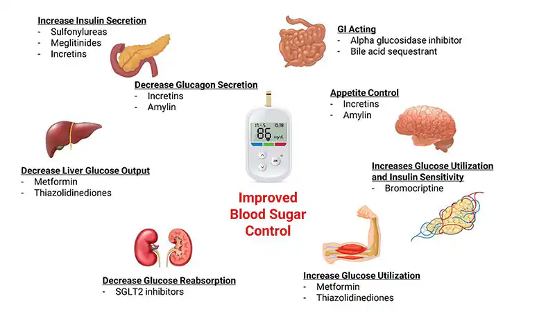 Blood Sugar Control