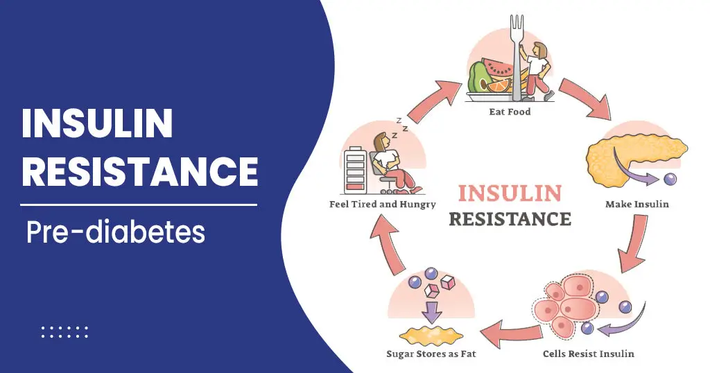 Insulin resistance blood test